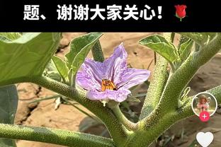 又帅又能打！马尔卡宁18中12砍下33分11篮板&第三节独得17分